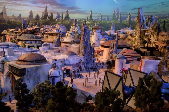   Star Wars Land   Disney (6 )