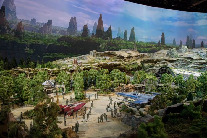   Star Wars Land   Disney (6 )