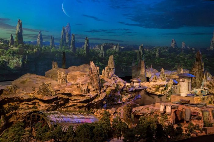   Star Wars Land   Disney (6 )