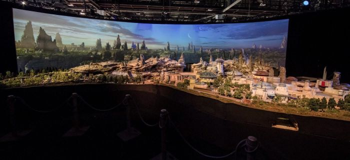   Star Wars Land   Disney (6 )