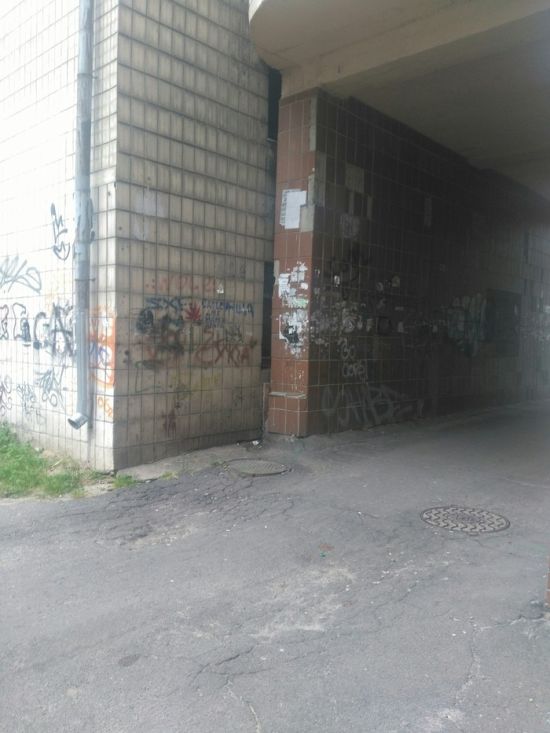 «Прекрасный» вид из окна (3 фото)