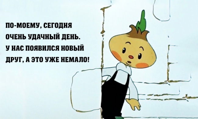 Правила жизни Чиполлино (5 фото)