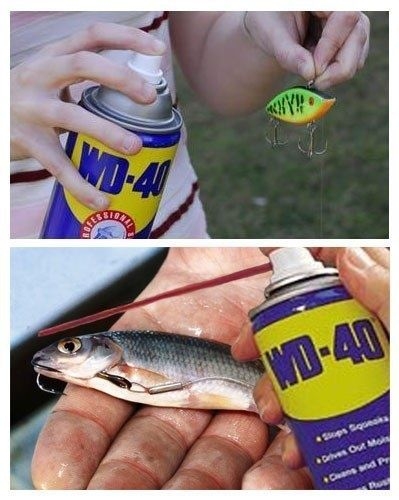      WD-40 (3 )