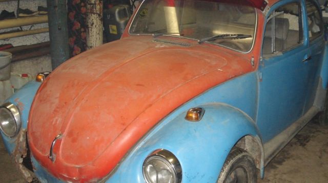   Volkswagen Beetle (24 )