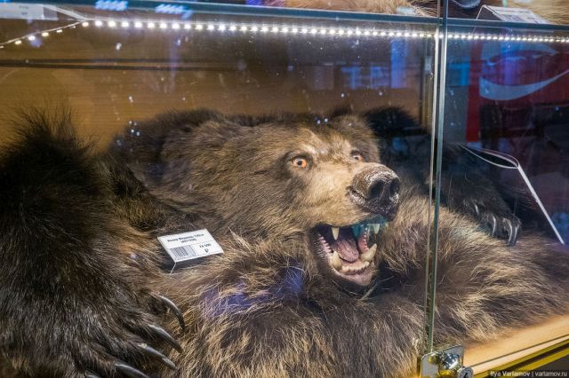 Необычные сувениры в аэропорту Кирова (8 фото)
