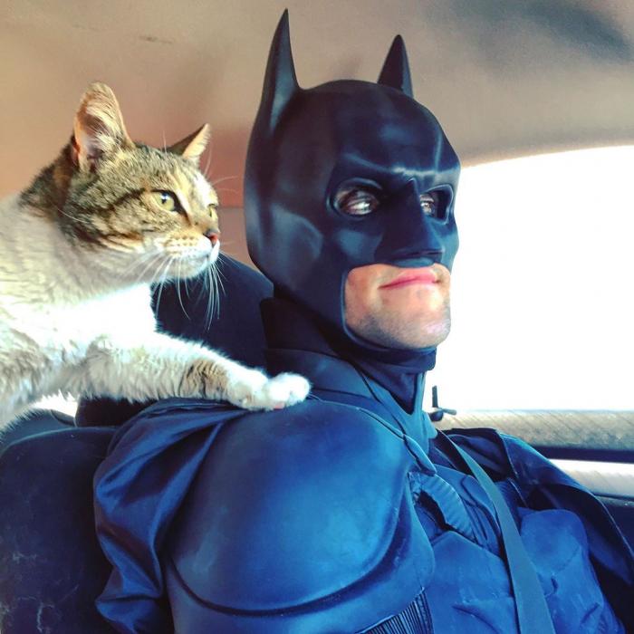 Бэтмен теперь спасает не людей, а животных (10 фото)