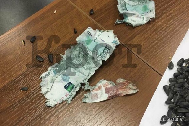 Майор полиции съел взятку, закусив семечками (2 фото)