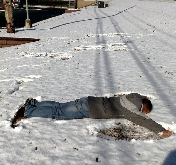 Эмоции людей и животных,которые впервые в жизни увидели снег (16 фото)