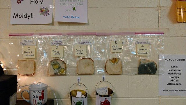 Американским школьникам на примере хлеба объяснили о руках (6 фото)
