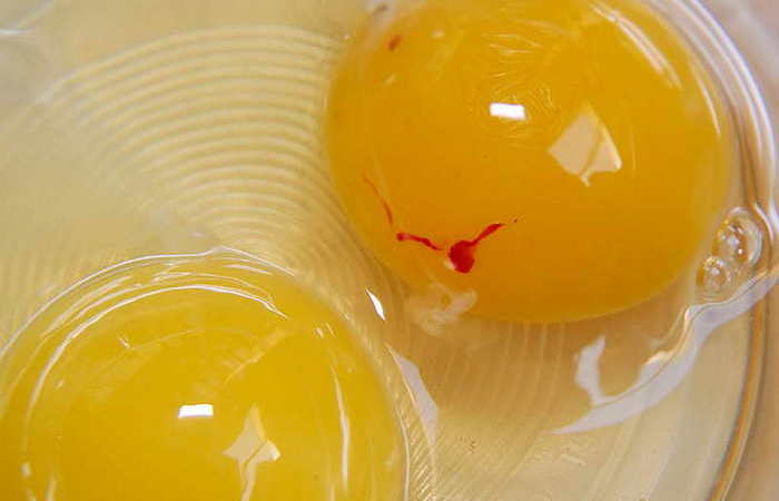 Можно ли есть яйца с красным пятном на желтке (4 фото)