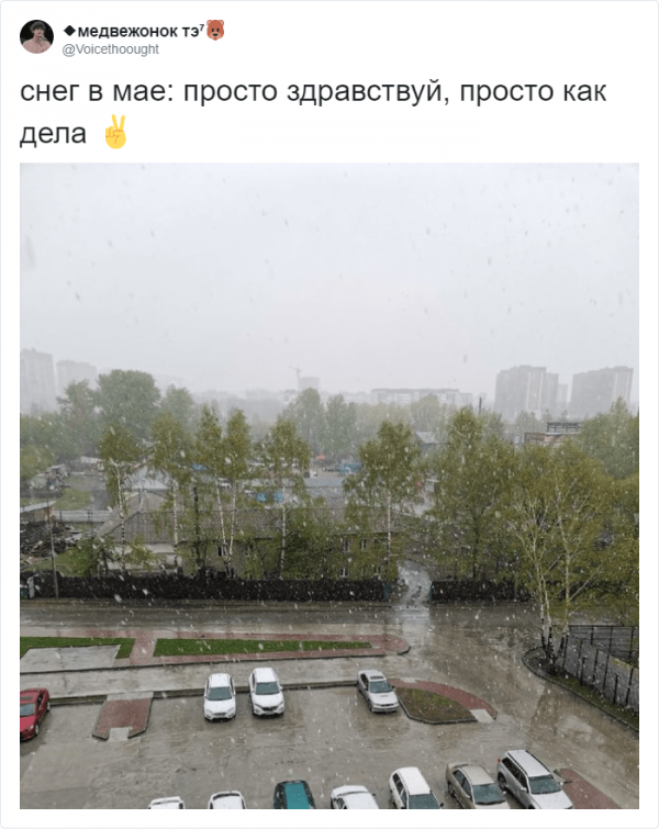 В России внезапно выпал снег: реакция соцсетей (13 фото)
