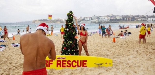 Рождество на пляже Сиднея (18 фото)