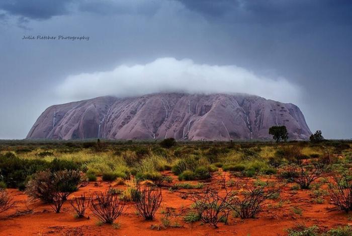 Природа Австралии в пейзажных фотографиях Джули Флетчер (21 фото) 